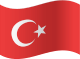 Image module